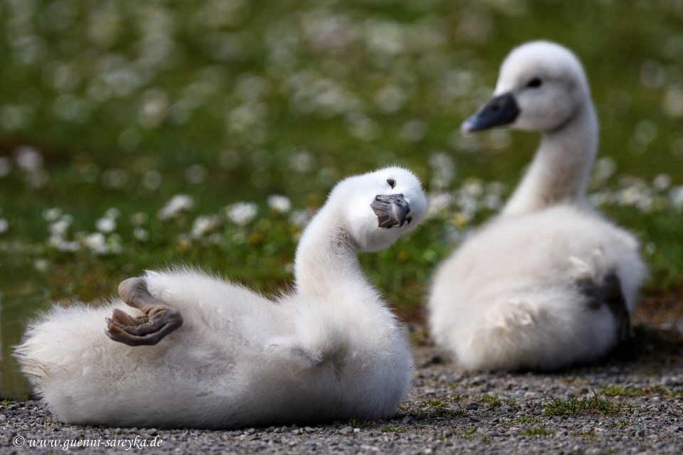 "Ach, was geht es mir gut!"